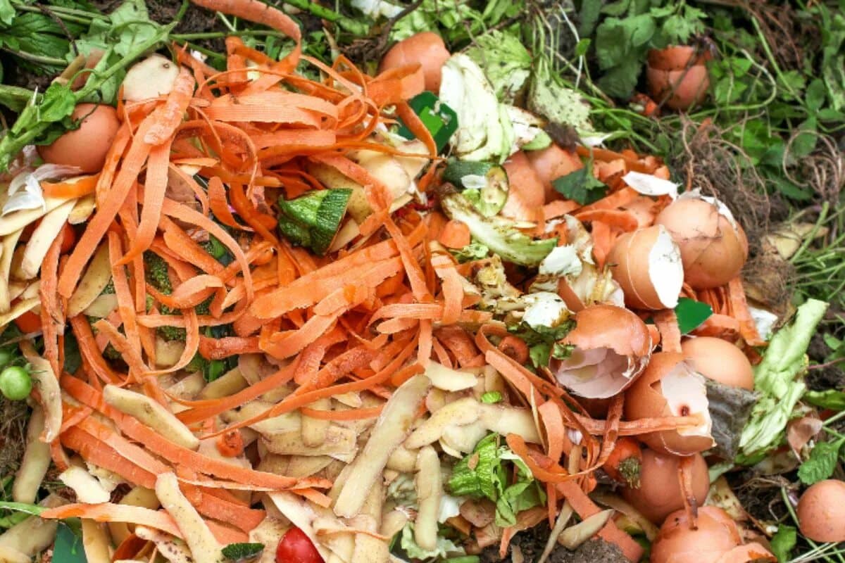 Každý, kdo má doma mrkvové slupky, drží v rukou skutečný poklad: k čemu je lze použít?